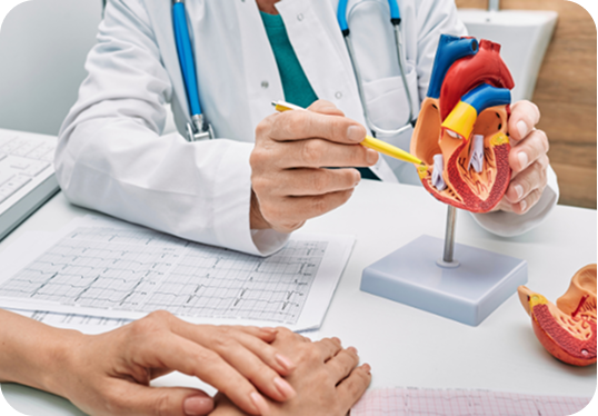 Primary Prevention in Cardiology
